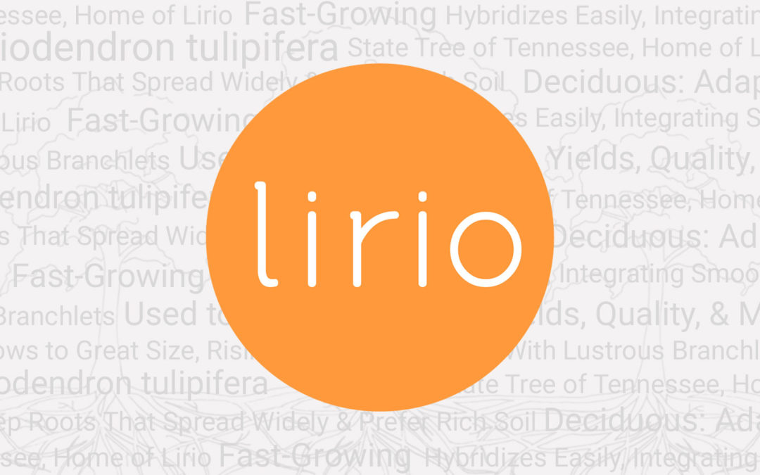 Marten den Haring Joins Lirio as Chief Product Officer